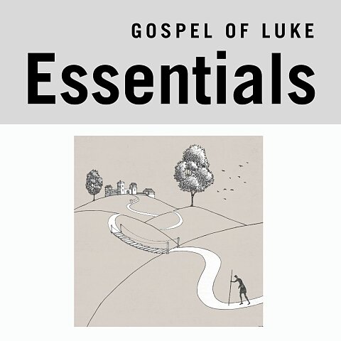 2025 essentials luke