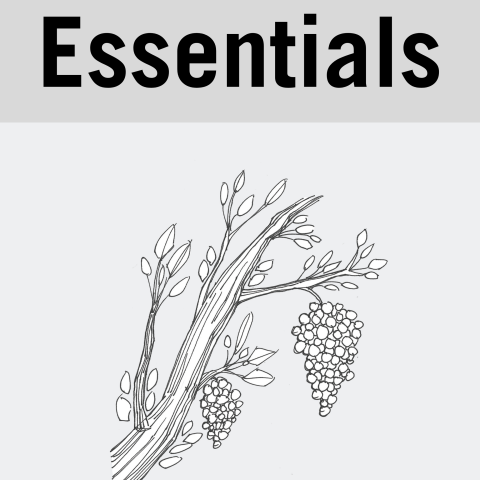 essentials poster 1